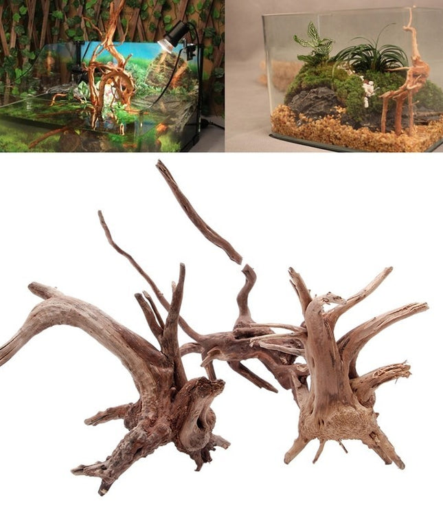 Natural Sunken Tree Root Aquarium Decoration – Premium Landscaping Wood | Fast & Free USA Shipping