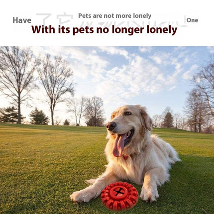 Durable Dog Tire Chew Toy - Interactive Puzzle & Fetch Dog Toys by PetPexi