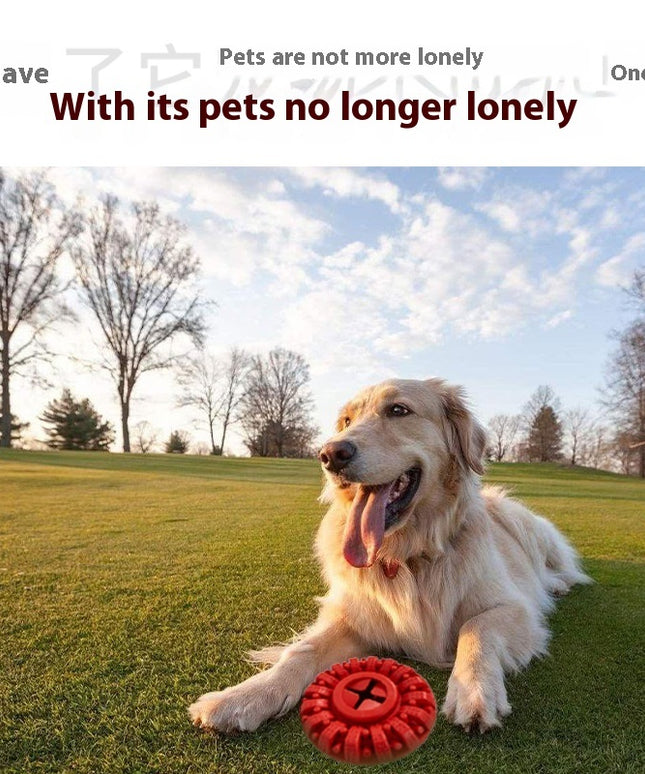 Durable Dog Tire Chew Toy - Interactive Puzzle & Fetch Dog Toys by PetPexi