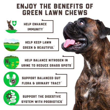 Green Lawn Chews for Dogs - Cranberry & ACV Dog Urine Neutralizer - 180 Tasty Treats | Petpexi