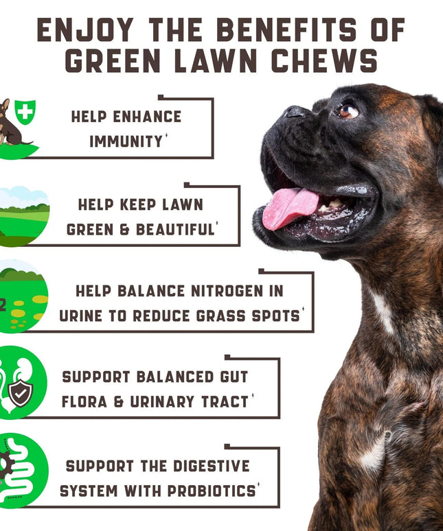 Green Lawn Chews for Dogs - Cranberry & ACV Dog Urine Neutralizer - 180 Tasty Treats | Petpexi