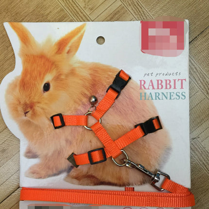 Towing Rope for Small Pets – Durable Polyester Pet Leash & Harness | Petpexi