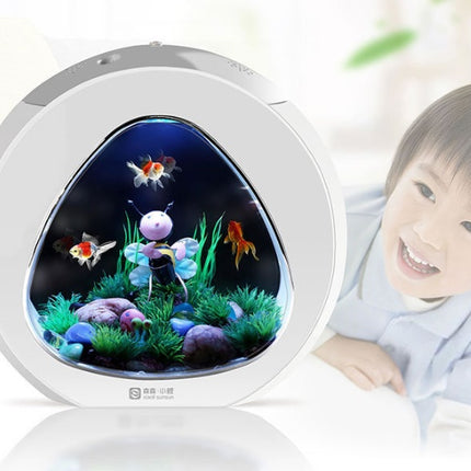 Desktop Acrylic Fish Tank Aquarium – Small & Large Sizes | PetPexi