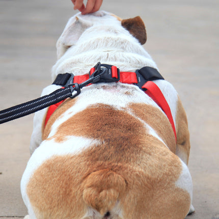 Dog Leash Collar Walking Harness - Adjustable Oxford Cloth Harness for Dogs - petpexi.com
