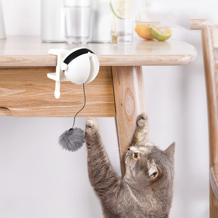 Electric Automatic Lifting Motion Cat Toy – Interactive Smart Puzzle Ball | Petpexi