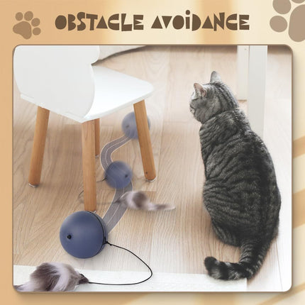 Interactive Cat Ball Toy – Automatic Moving Self-Rolling Pet Toy for Cats & Dogs | Petpexi