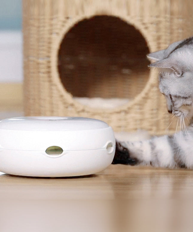 Donut Electric Cat Turntable – Smart Interactive Toy | PetPexi