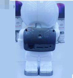 Astronaut Pet Camera – Smart Robot Wi-Fi Monitor with Night Vision & Two-Way Audio | Petpexi