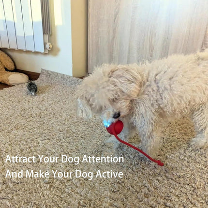 Smart Rolling Ball Toy for Dogs & Cats – Interactive 360° Motion with Rope | petpexi.com