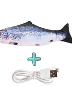 Salmon