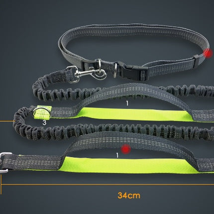Multi-Function Reflective Elastic Dog Leash with Waist Belt – Hands-Free Control | Petpexi