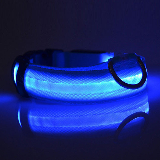 Safety LED Dog Collar with Tracker – Waterproof Light-Up Adjustable Collar | Petpexi