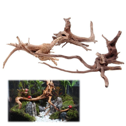 Natural Sunken Tree Root Aquarium Decoration – Premium Landscaping Wood | Fast & Free USA Shipping