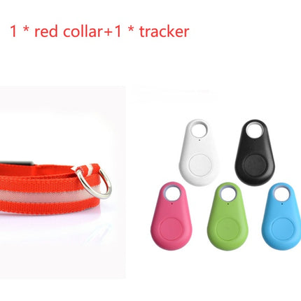 Safety LED Dog Collar with Tracker – Waterproof Light-Up Adjustable Collar | Petpexi