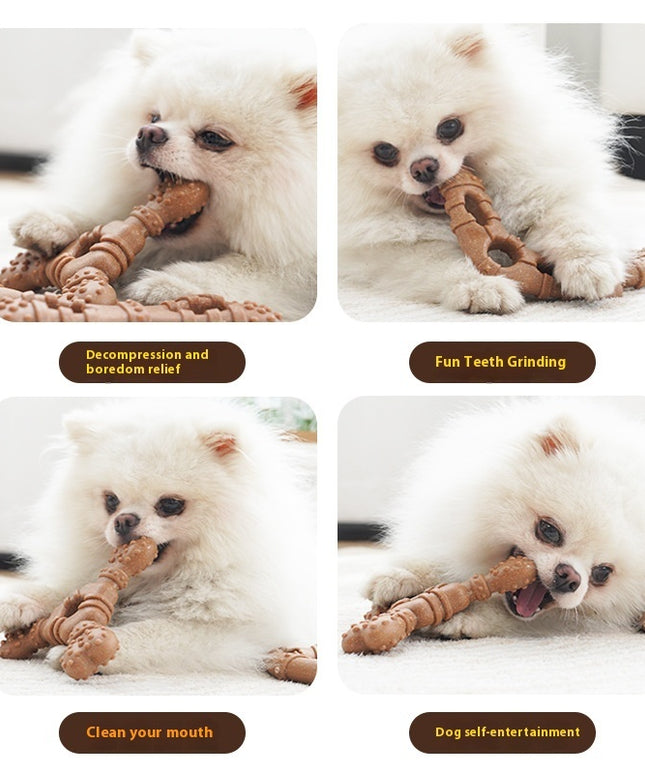 Dog Toy Bone Molar Rod Bite-resistant Teeth Cleaning – Durable Dog Toys from www.petpexi.com