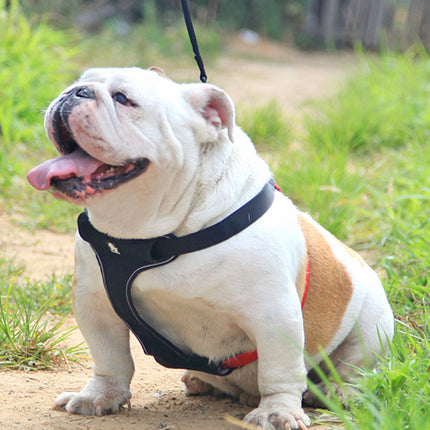 Dog Leash Collar Walking Harness - Adjustable Oxford Cloth Harness for Dogs - petpexi.com