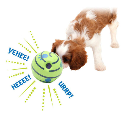 Durable Squeaky Molar Chew Ball for Dogs - Petpexi
