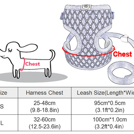 Dog Leash & Cat Leash – Durable Polyester Traction Belt | Petpexi