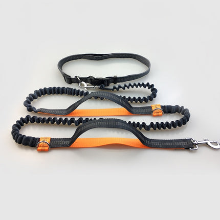 Multi-Function Reflective Elastic Dog Leash with Waist Belt – Hands-Free Control | Petpexi