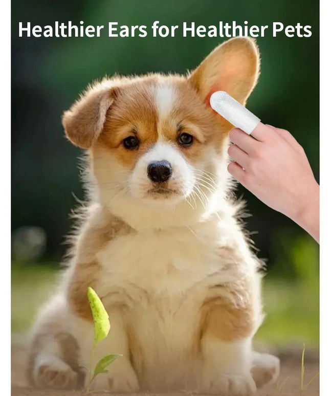 Pet Ear Cleaning Wipes for Dogs & Cats – Gentle, Hypoallergenic & Effective Ear Care | Petpexi