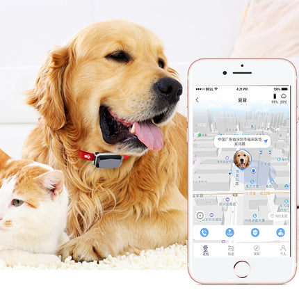 Beidou GPS Pet Positioning Collar - Premium Quality & Free Fast Shipping to USA | PetPexi