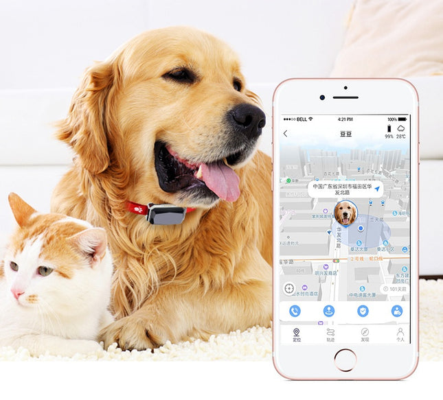 Beidou GPS Pet Positioning Collar - Premium Quality & Free Fast Shipping to USA | PetPexi