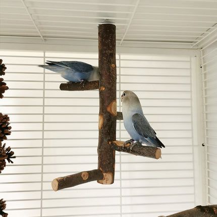 Parrot Bird Wood Stand Pole Toy – Stylish & Practical Apple Wood Stand | Free USA Shipping at PetPexi