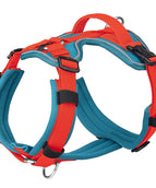 Blue Orange