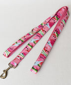 Leash