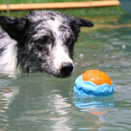 Dog Toy Ball Audible Glow Floating Chew Toy – Durable Interactive Play | www.petpexi.com