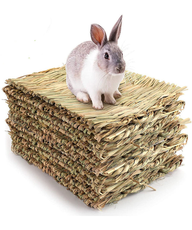 3 Pack Rabbit Bunny Mat Toy Bed for small animals like guinea pigs, parrots, and rabbits made of durable, natural wood.


