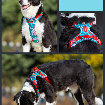 Dog Leashes & Chain Vest Straps – Durable Nylon Harness for All Dog Breeds | Petpexi