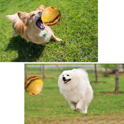 Squeaky Vinyl Pet Ball with Music for Large Dogs - Free Shipping USA | Petpexi