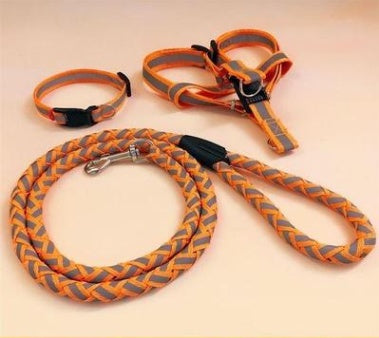 Pet Dog Leash with Collar - Adjustable, Heavy-Duty for All Sizes - petpexi.com