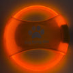 Orange Light / USB