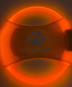 Orange Light
