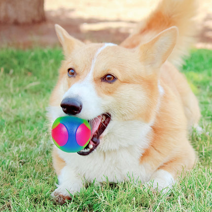 Small Dog Pet Training Interactive Luminous Elastic Ball – Durable Fun Toy – www.petpexi.com
