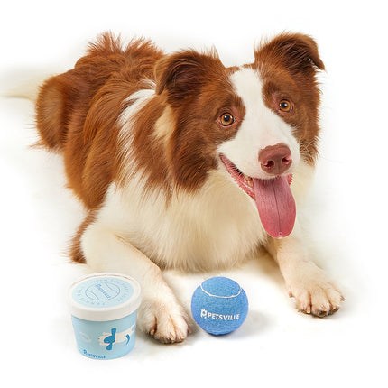 Outdoor Interactive Tennis Dog Toys – Durable Fetch & Chew Balls | www.petpexi.com