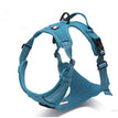 Light Blue / L