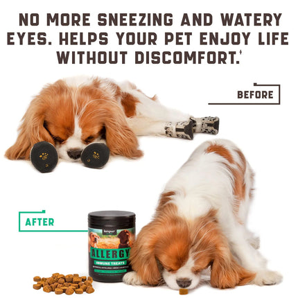 Kinpur Pet Care Natural Dog Allergy Chews - 180 Chews for Itchy Skin & Seasonal Allergies
