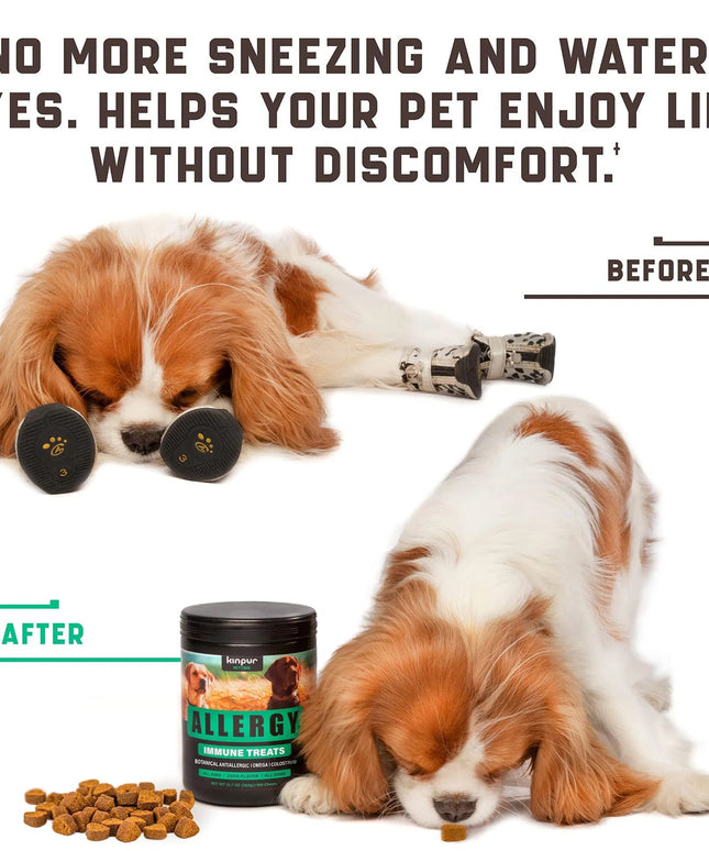 Kinpur Pet Care Natural Dog Allergy Chews - 180 Chews for Itchy Skin & Seasonal Allergies