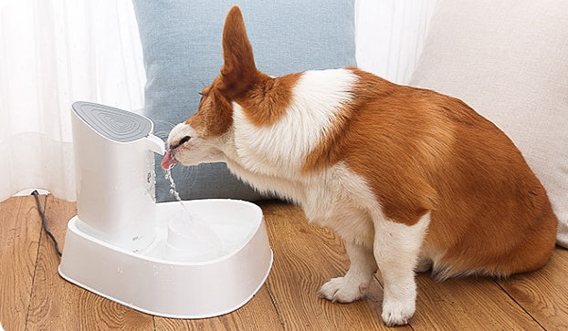Automatic Pet Water Dispenser for Dogs & Cats – 1.8L with Smart Circulation & Filtration