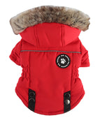 DZ274 red