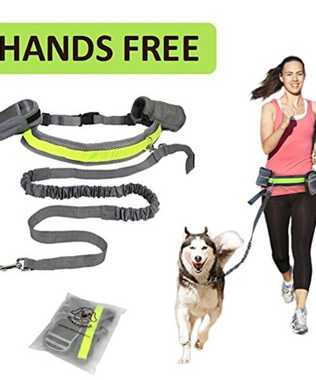 Adjustable Dog Leash with Waist Belt & Pouch | petpexi.com