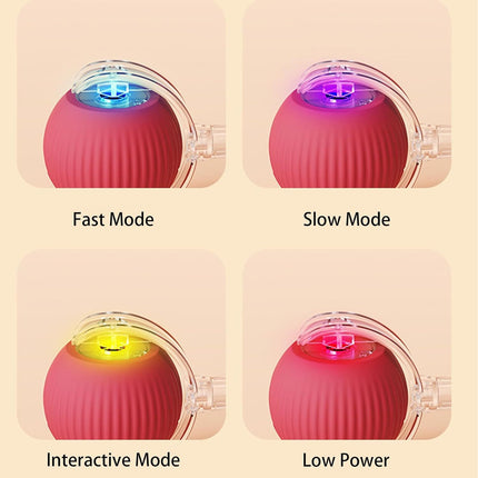 Smart Rolling Ball Toy for Dogs & Cats – Interactive 360° Motion with Rope | petpexi.com