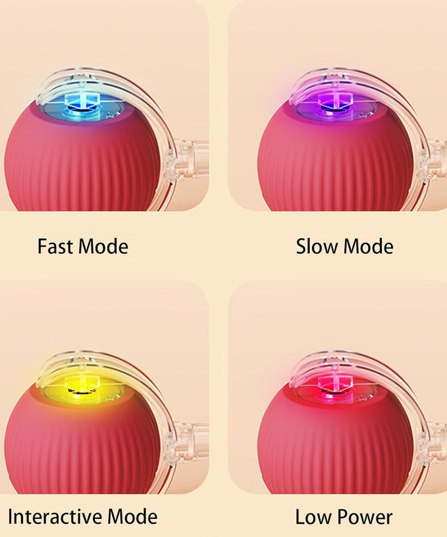 Smart Rolling Ball Toy for Dogs & Cats – Interactive 360° Motion with Rope | petpexi.com