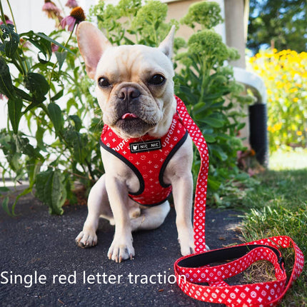 Ins Dog Pet Breathable Mesh Leash Chest Harness – Red Letter Design | PetPexi