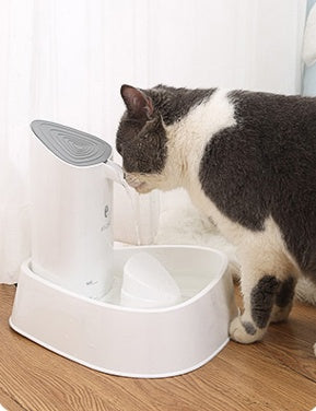 Automatic Pet Water Dispenser for Dogs & Cats – 1.8L with Smart Circulation & Filtration