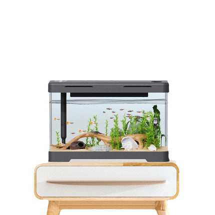 Four Generation Acrylic Transparent Fish Tank – Classic Black Luxury | PetPexi