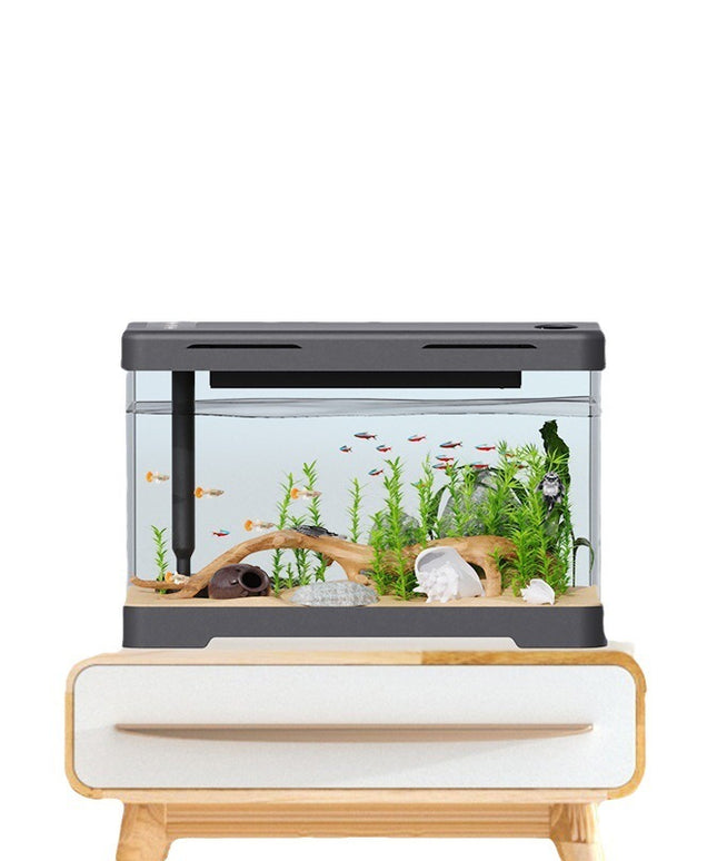 Four Generation Acrylic Transparent Fish Tank – Classic Black Luxury | PetPexi